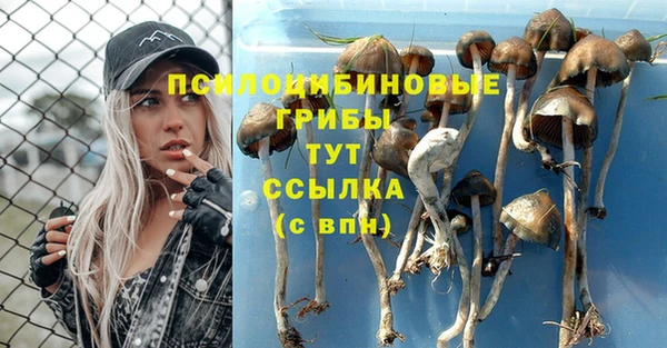 спиды Вязники