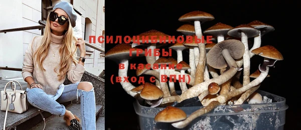 спиды Вязники