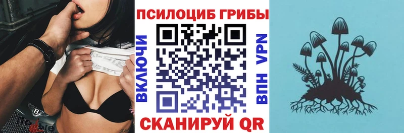 Галлюциногенные грибы Magic Shrooms  закладки  Москва 