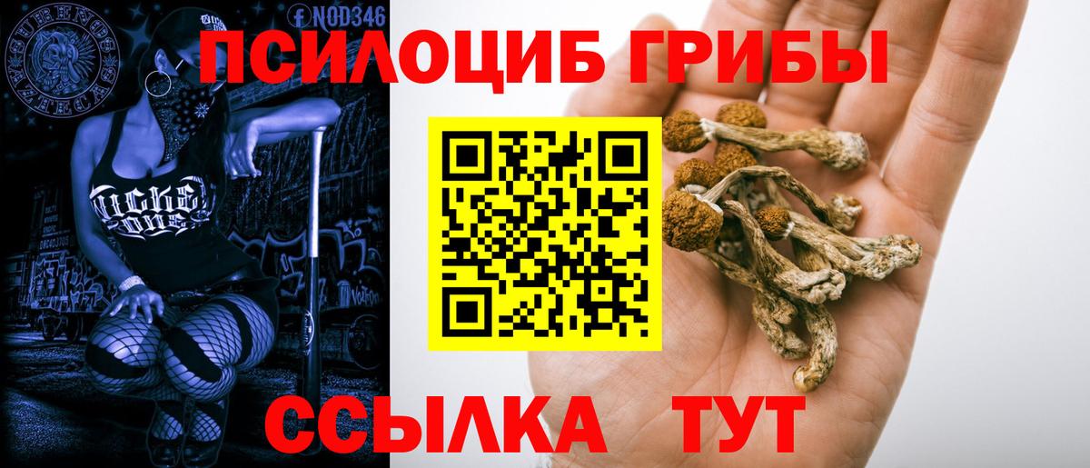 Москва  Галлюциногенные грибы мухоморы  Вход с VPN  где продают   Галлюциногенные грибы прущие грибы 