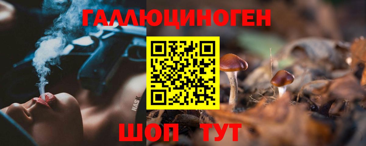 Галлюциногенные грибы мицелий Москва